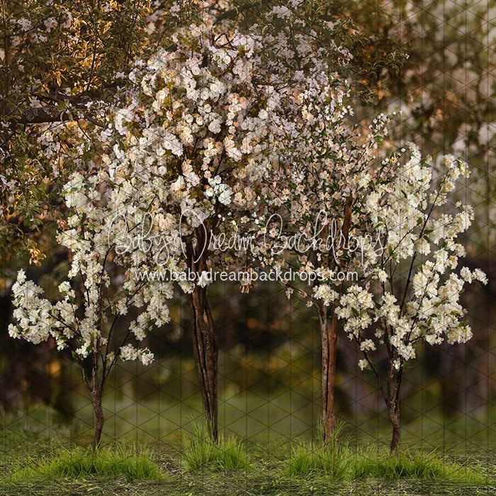 Spring Countryside Forest 2 (JA)