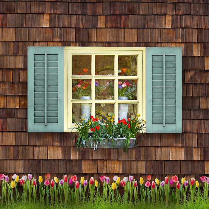 Spring View Blue Shutters with Tulips