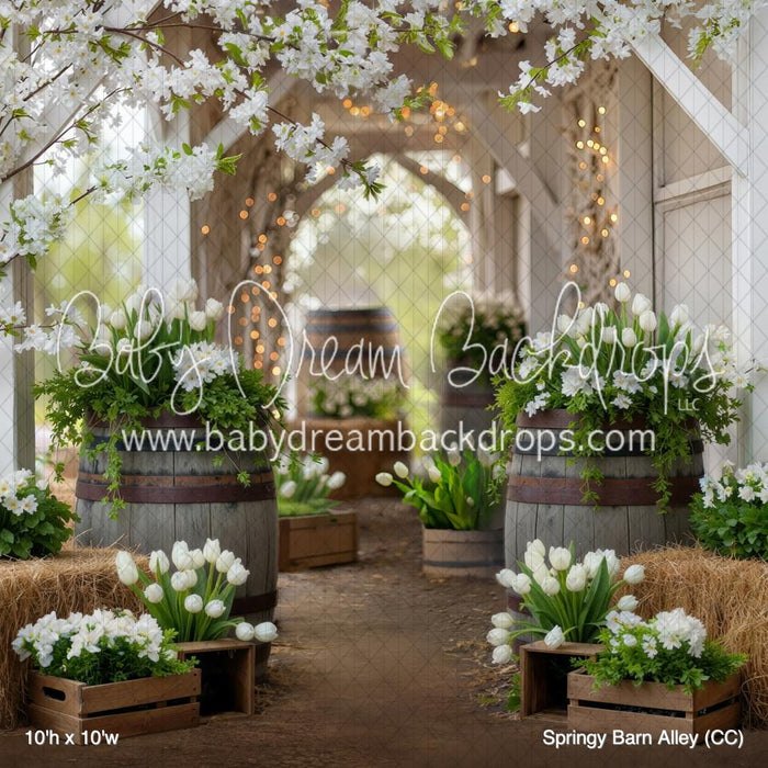 Springy Barn Alley (CC)
