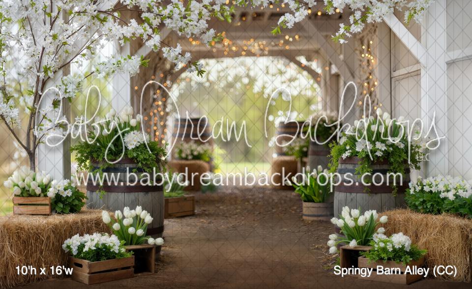 Springy Barn Alley (CC)