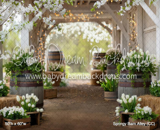 Springy Barn Alley (CC)