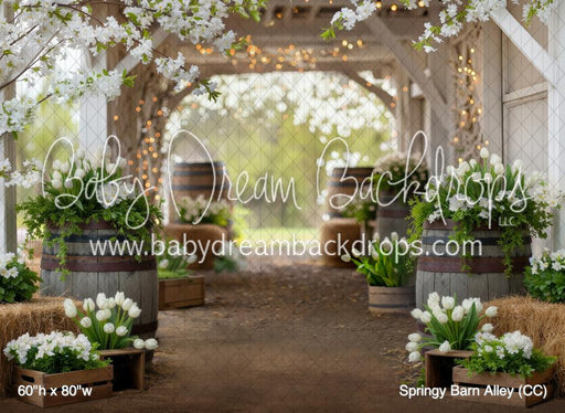 Springy Barn Alley (CC)