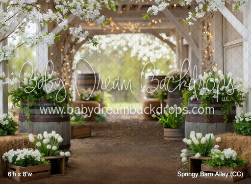 Springy Barn Alley (CC)