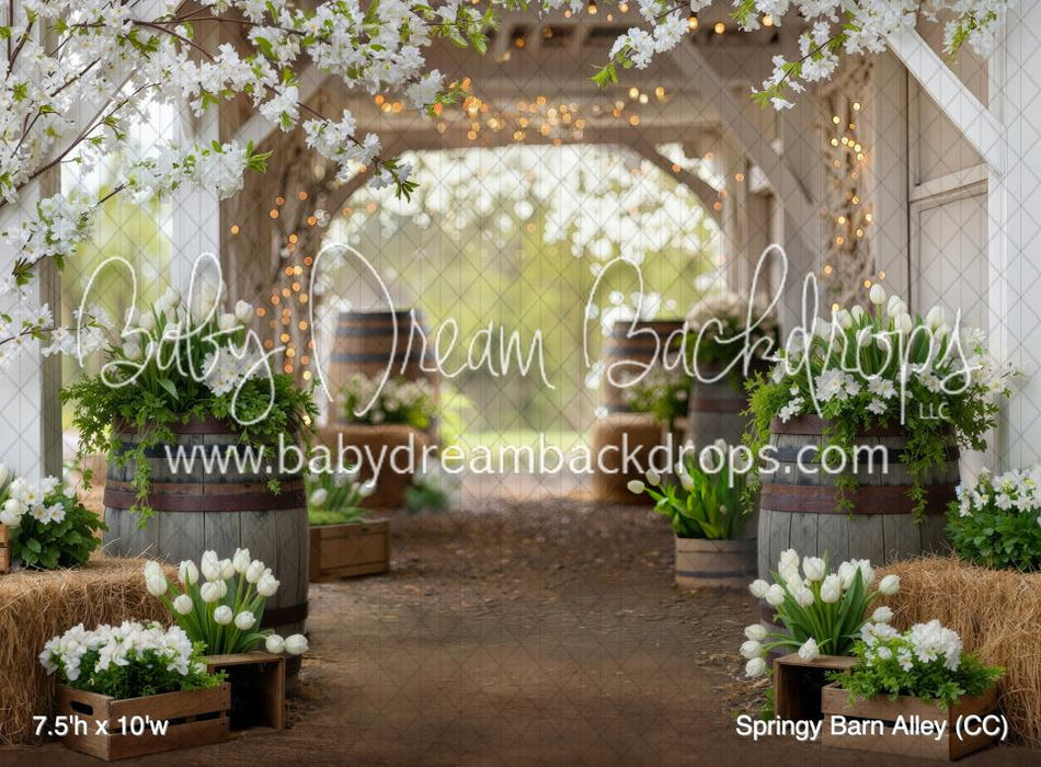 Springy Barn Alley (CC)