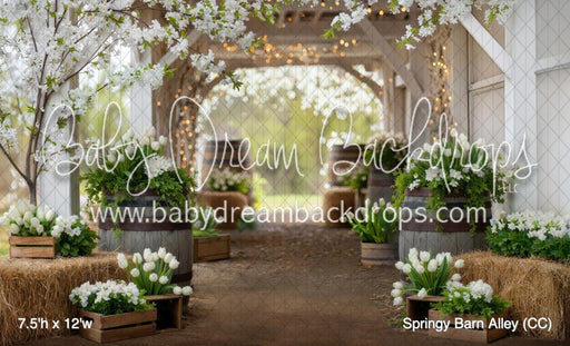 Springy Barn Alley (CC)