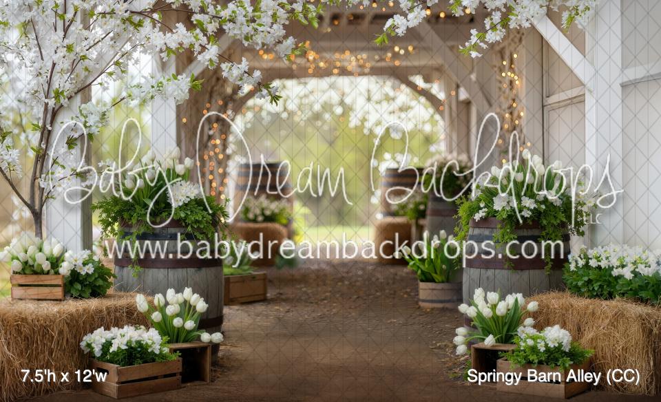 Springy Barn Alley (CC)