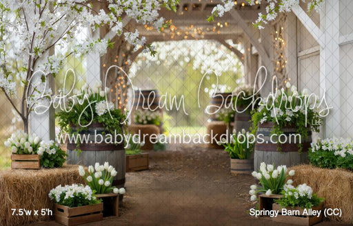 Springy Barn Alley (CC)