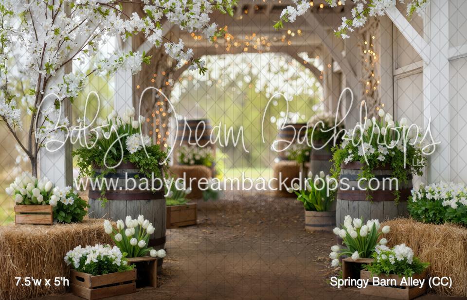 Springy Barn Alley (CC)