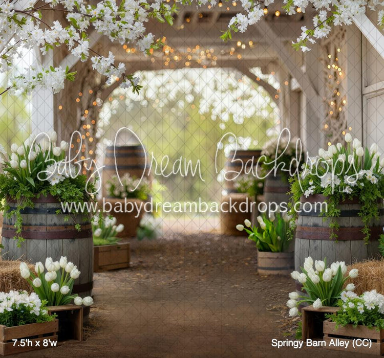 Springy Barn Alley (CC)