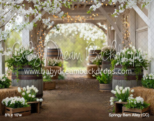 Springy Barn Alley (CC)