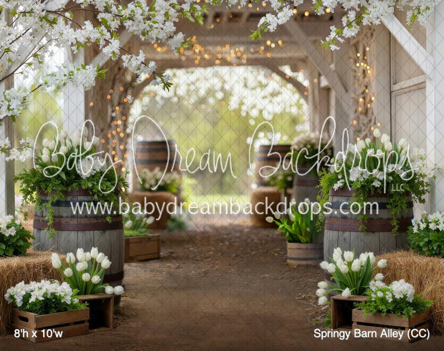Springy Barn Alley (CC)