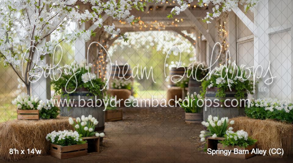 Springy Barn Alley (CC)