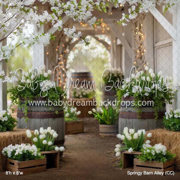 Springy Barn Alley (CC)