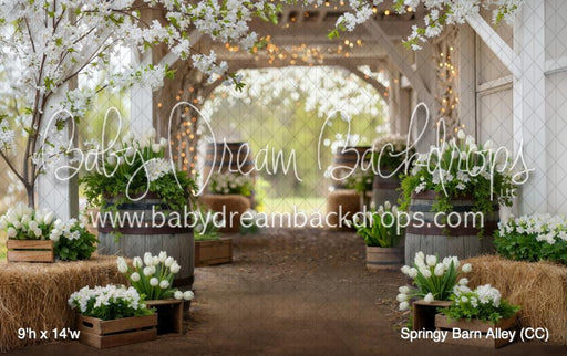 Springy Barn Alley (CC)