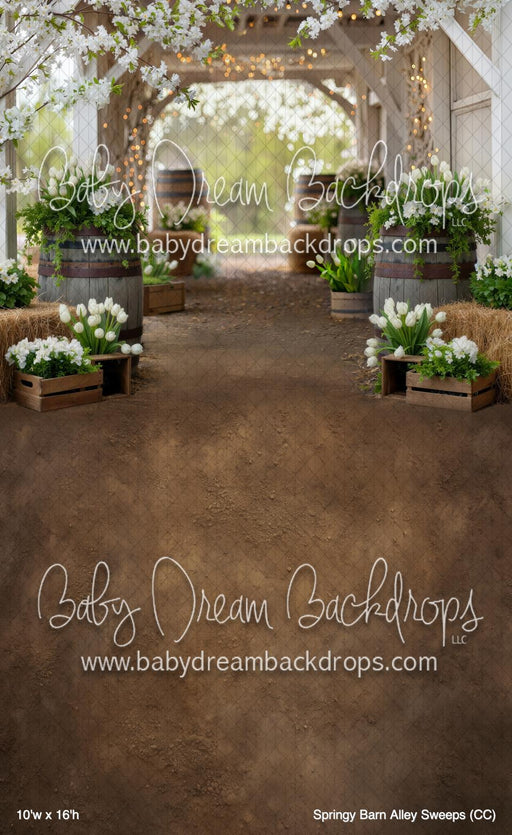 Springy Barn Alley Sweeps (CC)