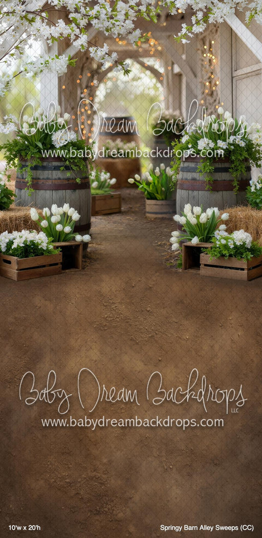 Springy Barn Alley Sweeps (CC)