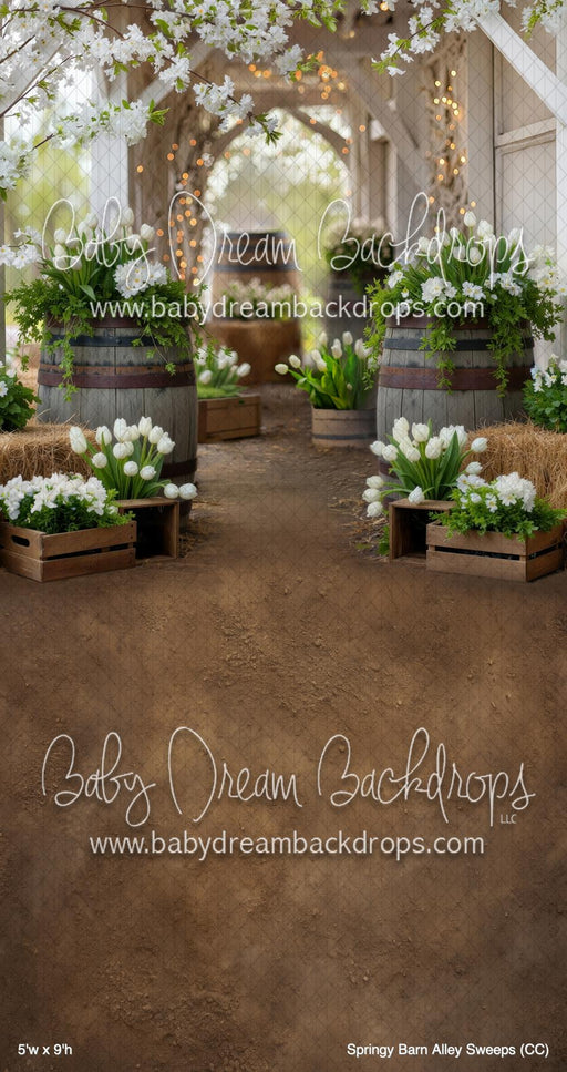 Springy Barn Alley Sweeps (CC)