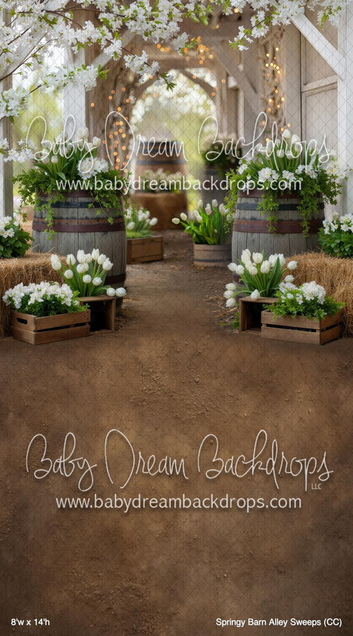 Springy Barn Alley Sweeps (CC)