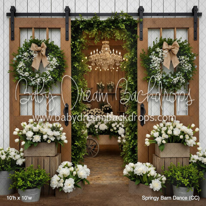 Springy Barn Dance (CC)