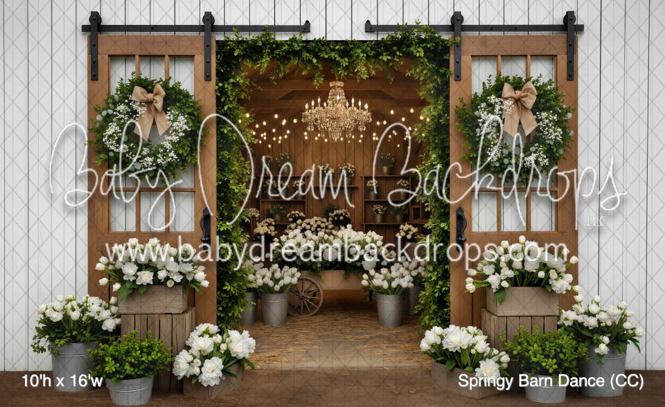 Springy Barn Dance (CC)