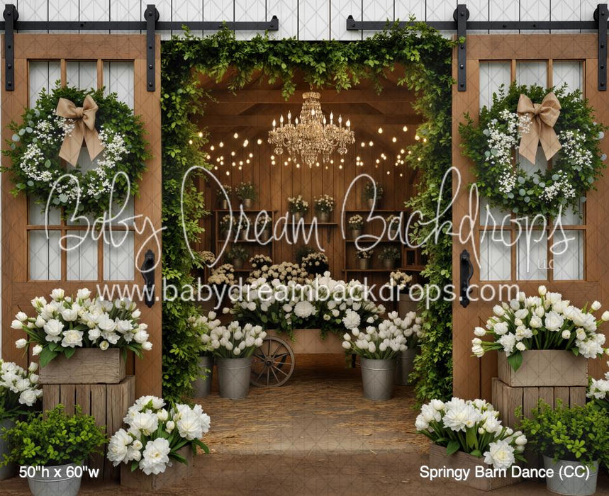 Springy Barn Dance (CC)