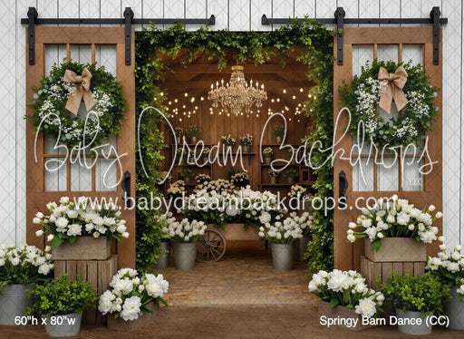 Springy Barn Dance (CC)