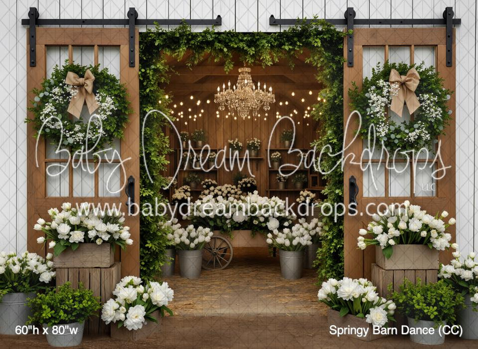 Springy Barn Dance (CC)