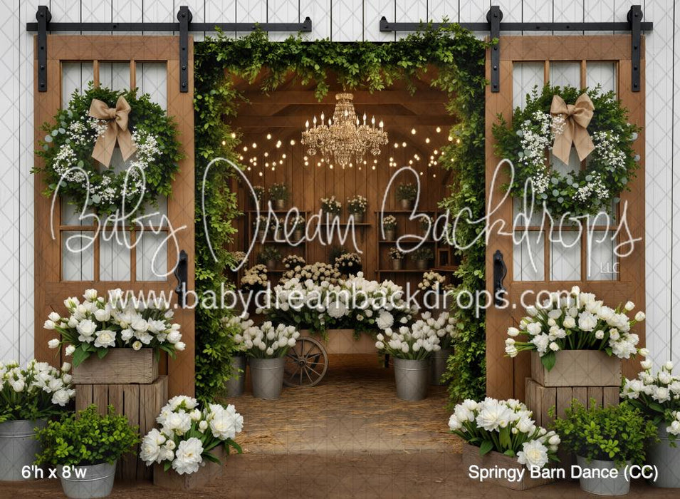 Springy Barn Dance (CC)