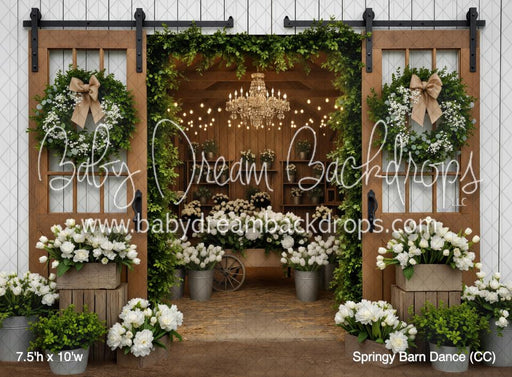 Springy Barn Dance (CC)