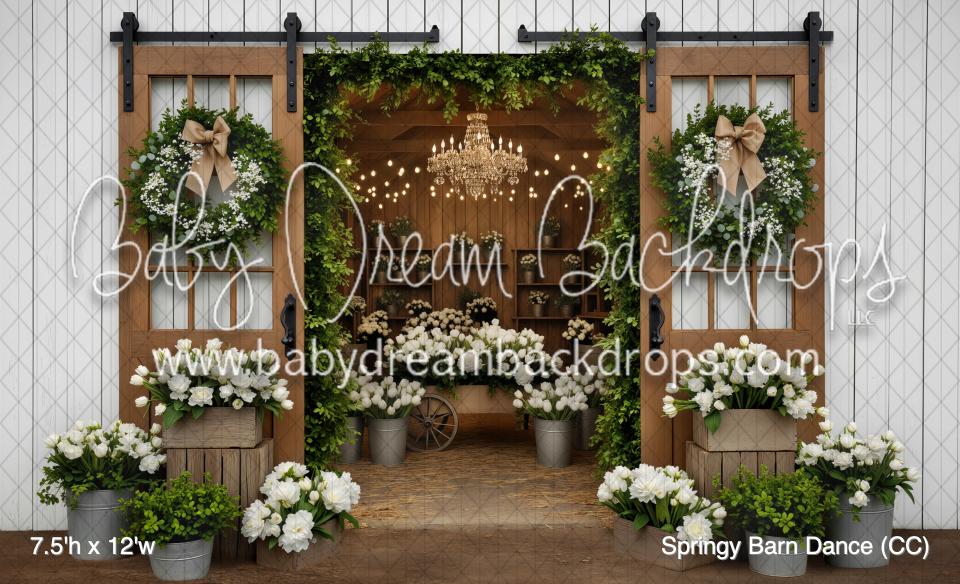 Springy Barn Dance (CC)