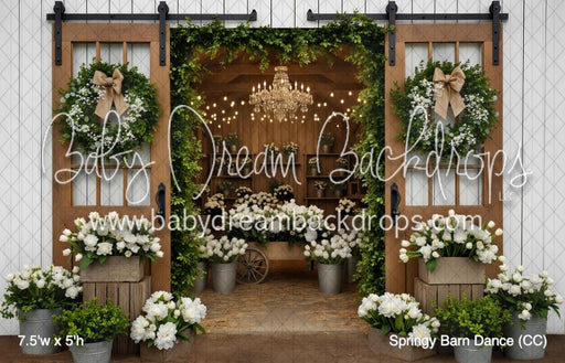 Springy Barn Dance (CC)