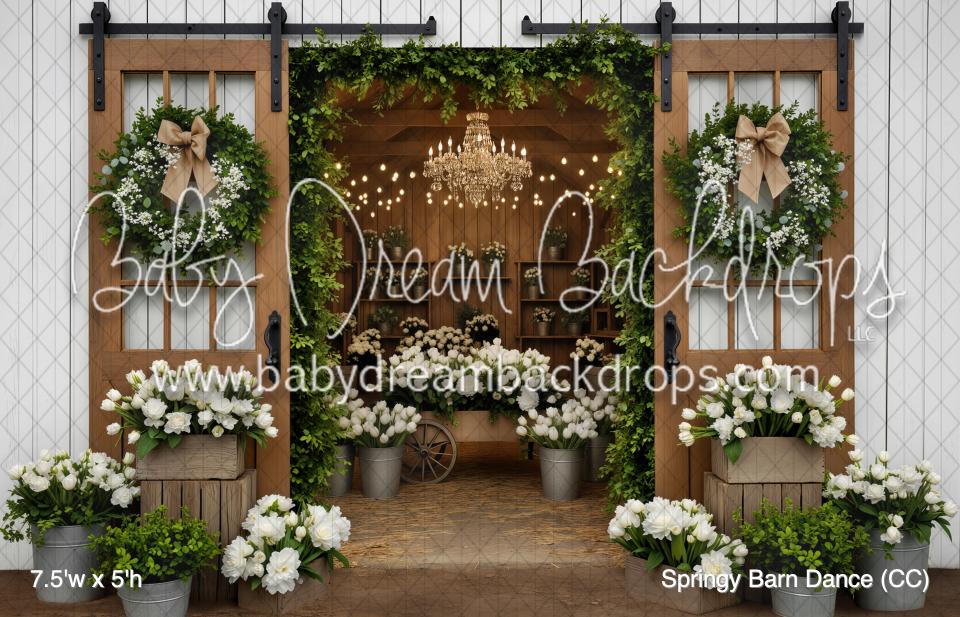 Springy Barn Dance (CC)