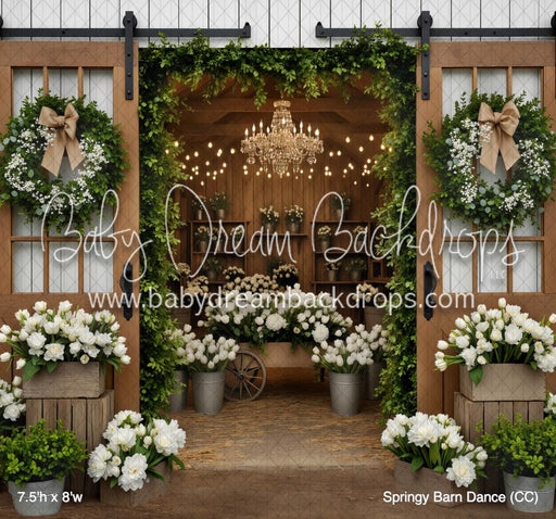 Springy Barn Dance (CC)