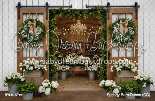 Springy Barn Dance (CC)