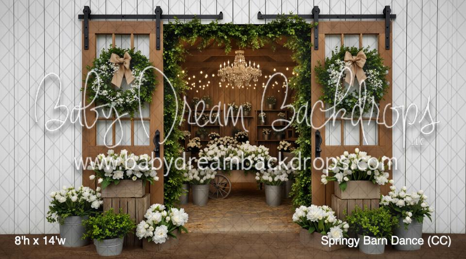 Springy Barn Dance (CC)