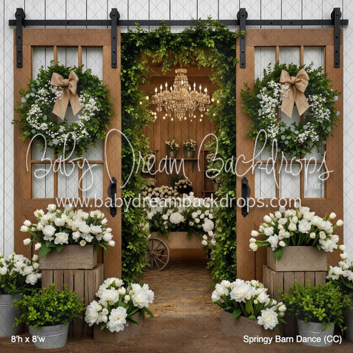 Springy Barn Dance (CC)