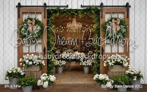 Springy Barn Dance (CC)