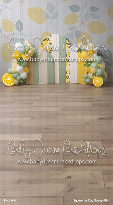 Squeze the Day Sweep (BM)