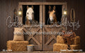 Stable Tack Room (JA)