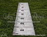 Stars, Stripes & School Days Grass Fabric Floor (GO)