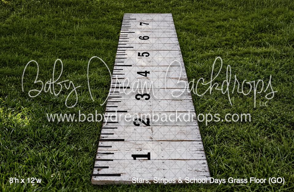 Stars, Stripes & School Days Grass Floor (GO)