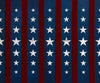 Stars and Stripes Version 1 (JG)