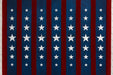 Stars and Stripes Version 1 (JG)