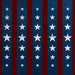 Stars and Stripes Version 1 (JG)