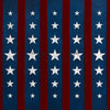 Stars and Stripes Version 1 (JG)