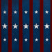 Stars and Stripes Version 2 (JG)