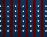 Stars and Stripes Version 3 (JG)