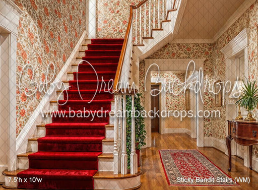 Sticky Bandit Stairs (WM)