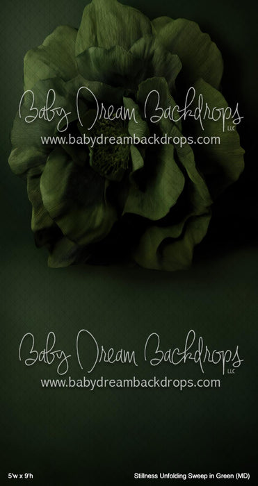 Stillness Unfolding Sweep in Green (MD)