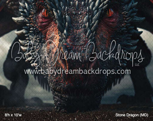 Stone Dragon (MD)